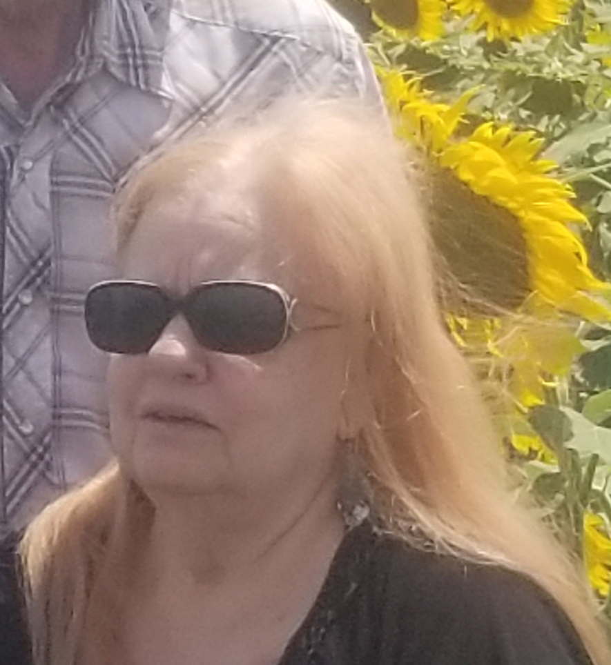 linda harvey